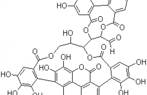 Pomegranate Extract