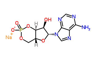 Adenosine 3′,5′-cyclic monophosphate sodium salt