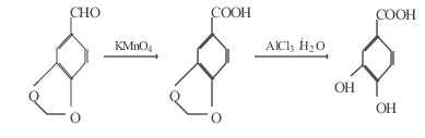 Synthetic roadmap of protocatechuic acid