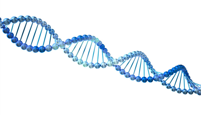 Chiral nanostructures have excellent optical properties, and research results in my country are increasing continuously