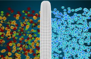 Hydrogen-bonded organic framework films (HOFs) have promising application prospects but are currently mainly used for scientific research