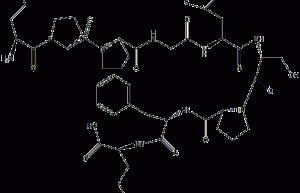 Bradykinin structural formula