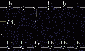 Ethyl stearate structural formula