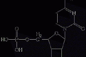 5'-cytidine monophosphate structural formula