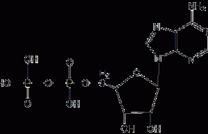 Adenosine 5'-diphosphate structural formula