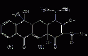 Tetracycline structural formula