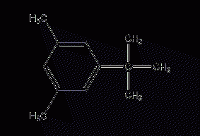 5-tert-butyl m-xylene structural formula