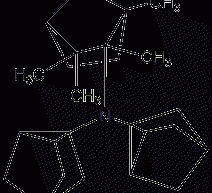 Isocamphenylamine structural formula