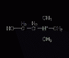 Choline structural formula