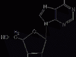 Adenine nucleoside structural formula