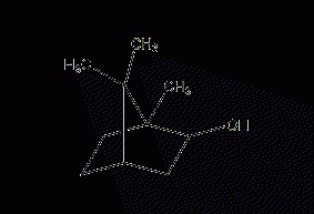 Exterior shape-1,7,7-trimethylbicyclo(2.2.1)-2-  Heptanol structural formula