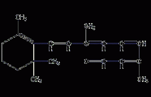 Retinal Structural Formula