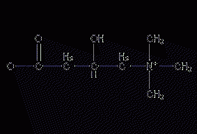 L-carnitine structural formula