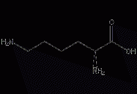 L-lysine structural formula
